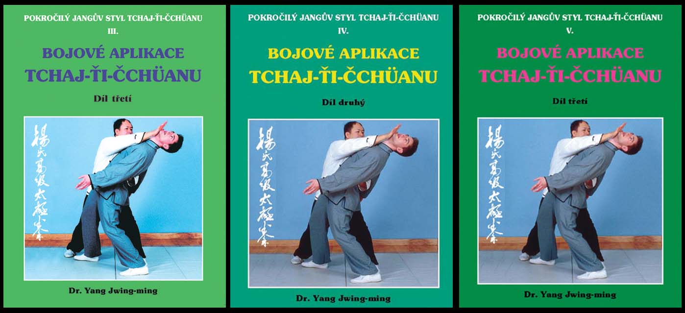 foto Bojov aplikace taichi 1-3 / Pokroil Jangv styl